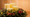 Why do we celebrate christmas?