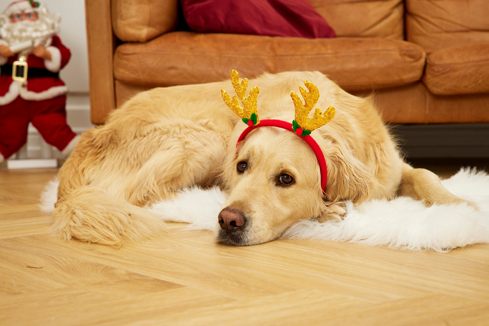 Kerst is de tijd om aan anderen te denken en dat doen wij ook!