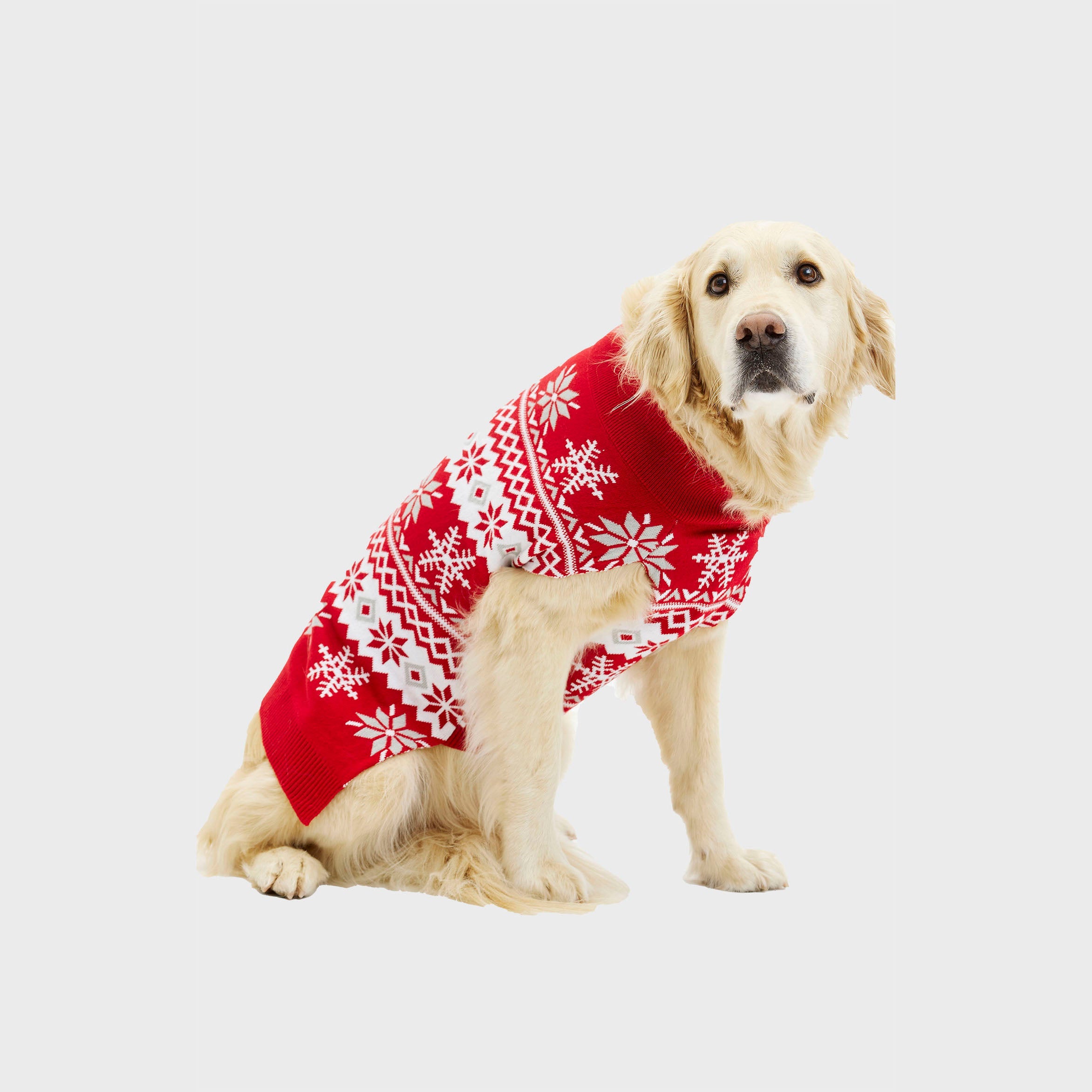 De schattige honden Kersttrui